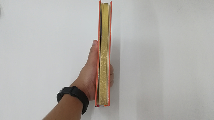 定制笔记本滚烫金边工艺图2